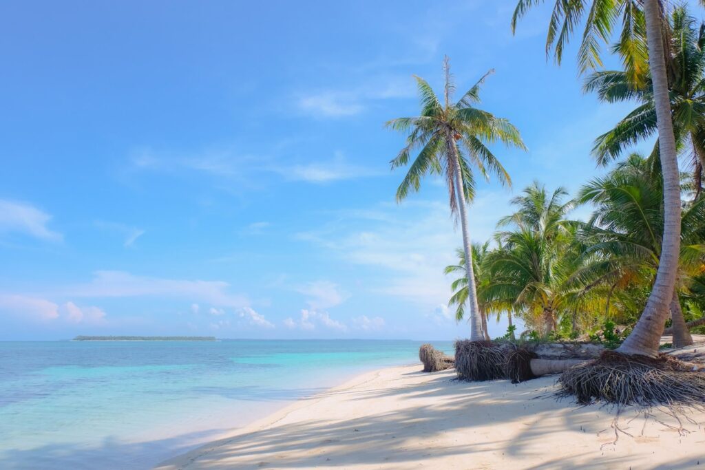 palm tree island beach Balabac Palawan Philippines