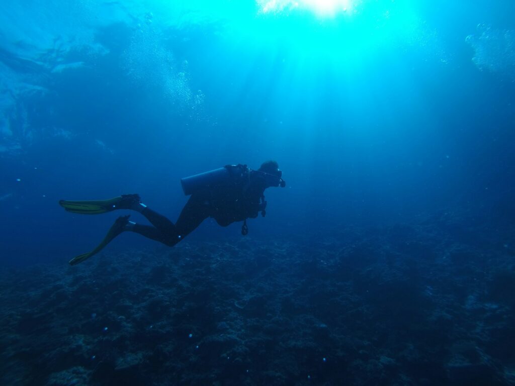 vibrant coral gardens El Nido Palawan Philippines