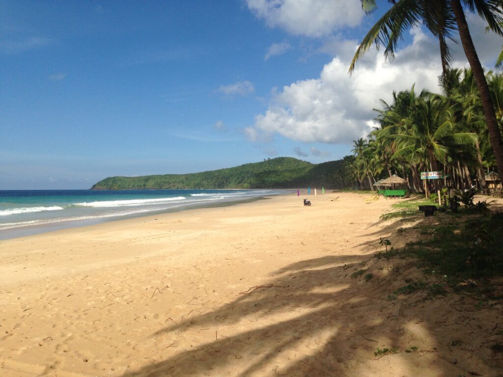 palm tree beach golden sand stretch Nacpan Palawan Philippines