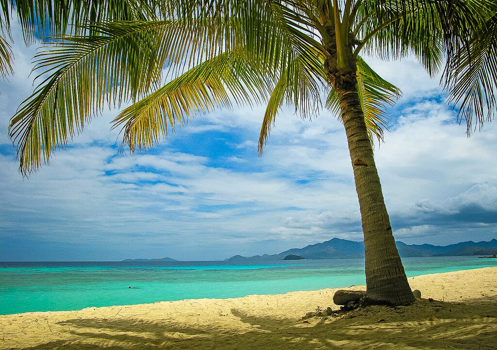 palm tree on a white sand beach in Malcapuya Coron Palawan Philippines