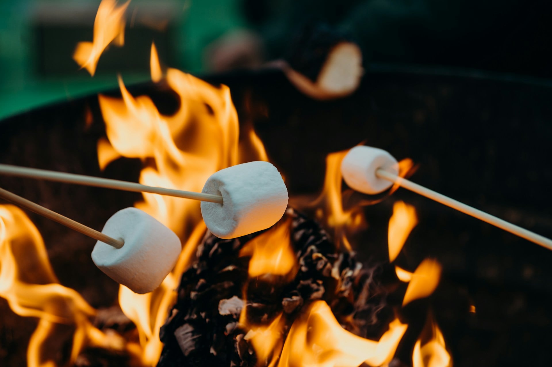 beach bonfire marshmallow roasting