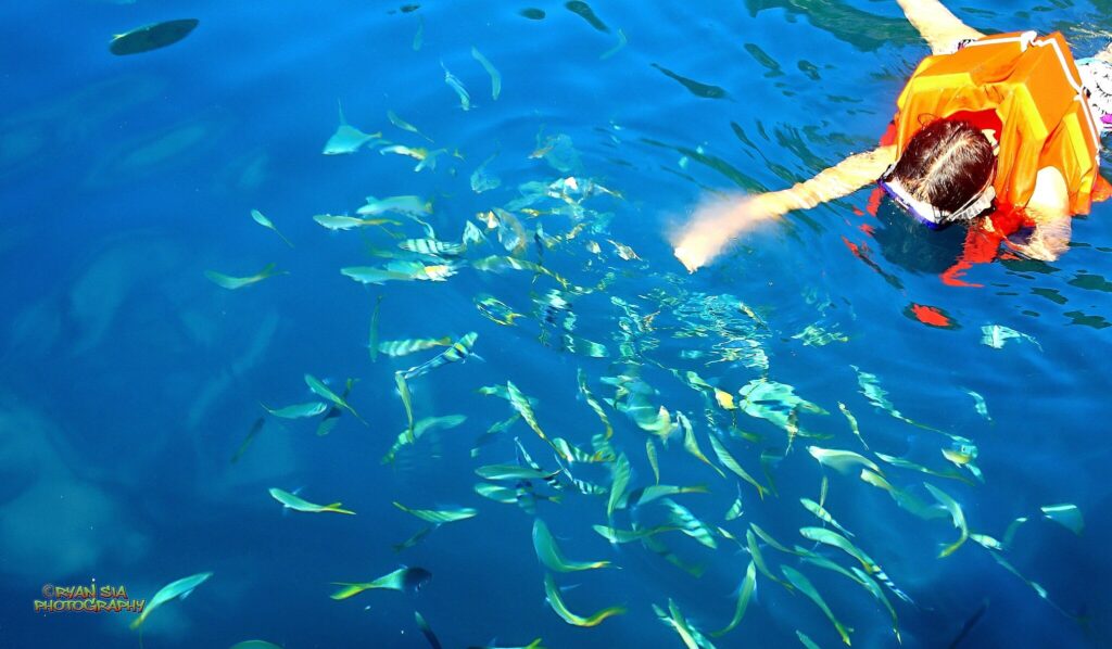 woman snorkeling on shipwreck in Coron Palawan Philippines