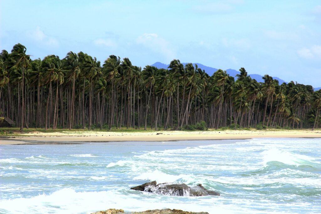 picturesque view of the Long Beach of San Vicente in Palawan