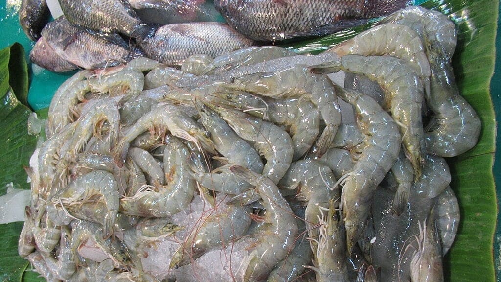 Fresh seafood displayed on ice at a local market in El Nido, Palawan, highlighting the region's abundant maritime offerings