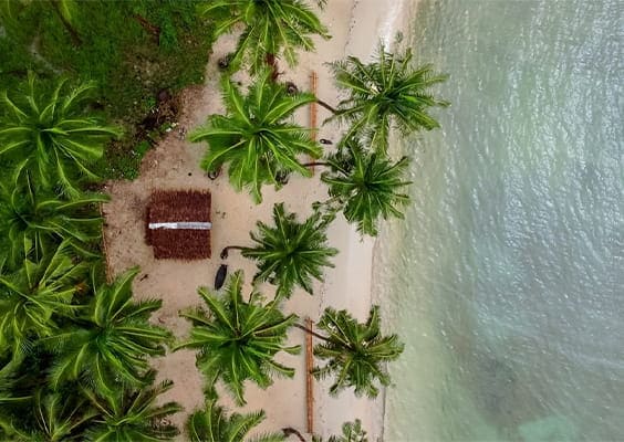 Pristine Coconut Beach in Port Barton as seen from above, with surrounding greenery and turquoise water