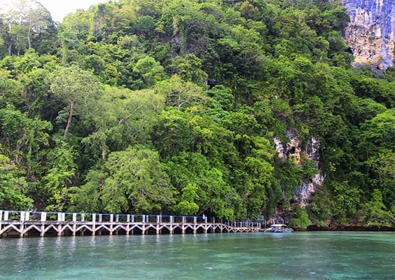 Scenic view of Tabon Cave and the lush forest in Quezon, Palawan, featuring a wooden footbridge over the water